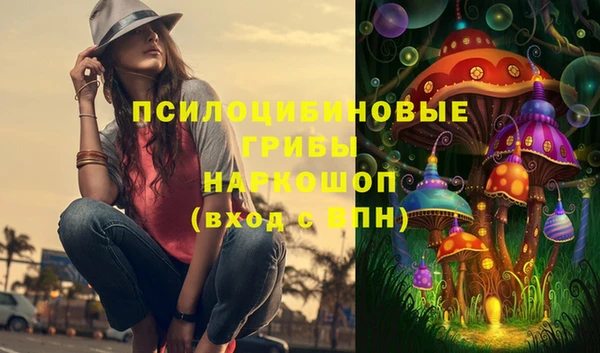 МДПВ Гусев