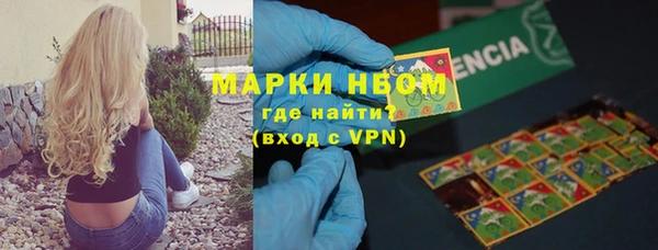 гашик Тайга