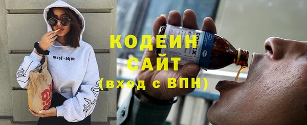 МДПВ Гусев