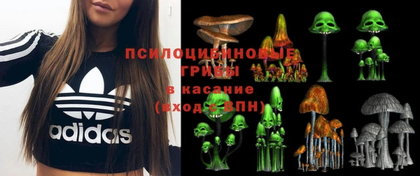 МДПВ Гусев